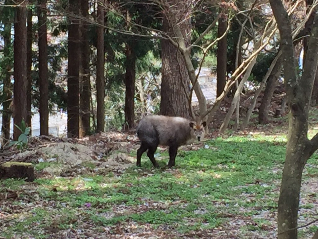 1223-%e8%87%aa%e5%b7%b1%e7%a0%b4%e7%94%a3%e3%81%99%e3%82%8b%e5%ae%b6%e4%b8%bb%e3%81%8c%e5%a2%97%e5%8a%a0%e4%b8%ad-%ef%bc%91%ef%bc%8f%ef%bc%97%ef%bc%88%e5%9c%9f%ef%bc%89%e5%a4%a7%e9%98%aa%e3%83%bb